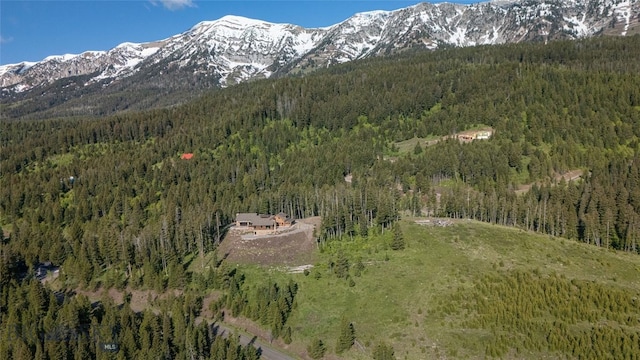 11310 Taiga Trl, Bozeman, MT 59715 - view of mountain backdrop featuring a forest