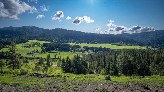 11310 Taiga Trl, Bozeman, MT 59715 - view of mountain backdrop