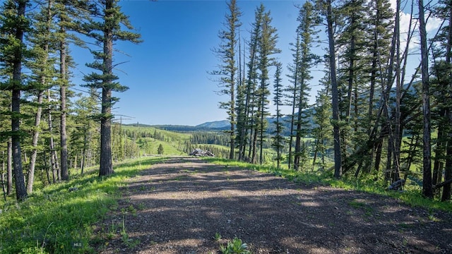 11310 Taiga Trl, Bozeman, MT 59715 - view of street with a mountain view