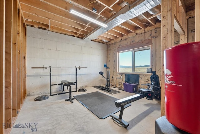 590 Coyote Ln, Butte, MT 59701 - view of workout area