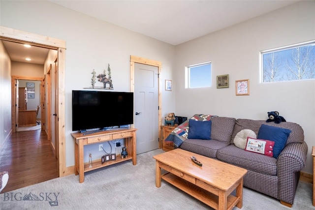 154 Nellie Ct, Manhattan, MT 59741 - living room featuring carpet floors