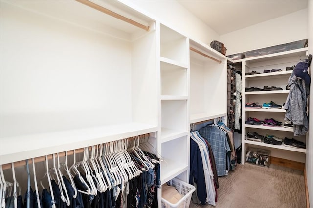 154 Nellie Ct, Manhattan, MT 59741 - spacious closet with carpet flooring
