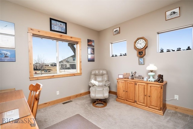 154 Nellie Ct, Manhattan, MT 59741 - office area with baseboards and light carpet