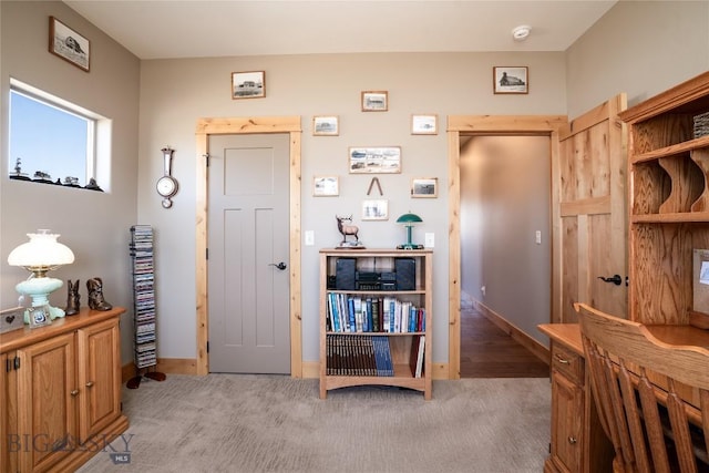 154 Nellie Ct, Manhattan, MT 59741 - home office with light colored carpet and baseboards