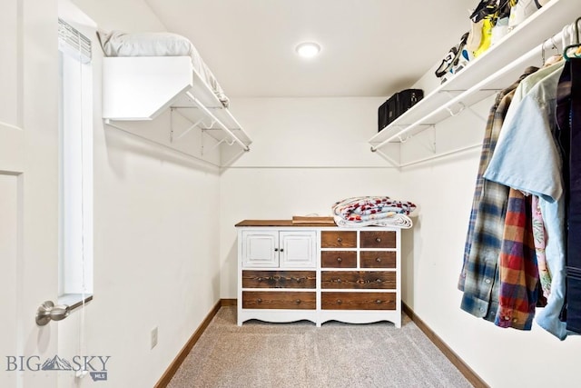 83 Sky Vw, Ennis, MT 59729 - spacious closet featuring carpet