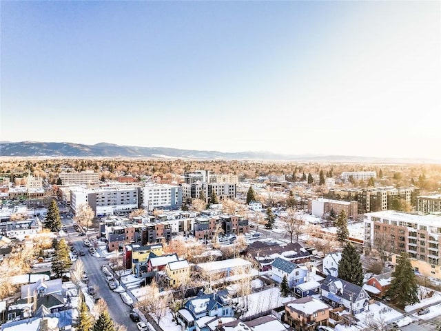 309 N Black Ave, Bozeman, MT 59715 - bird's eye view of a mountainous background