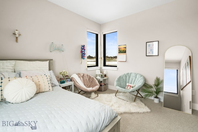 676 Tillyfour, Bozeman, MT 59718 - carpeted bedroom featuring arched walkways and baseboards