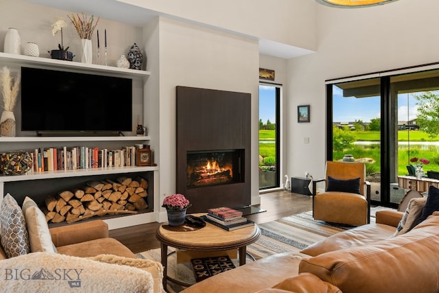 676 Tillyfour, Bozeman, MT 59718 - living area featuring wood finished floors and a glass covered fireplace