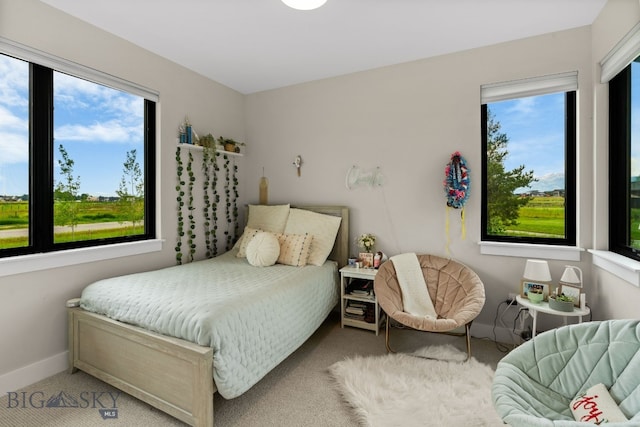 676 Tillyfour, Bozeman, MT 59718 - bedroom with carpet floors