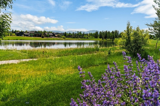676 Tillyfour, Bozeman, MT 59718 - water view