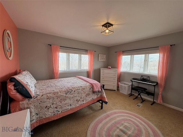 23 Indian Rings Rd, Big Timber, MT 59011 - bedroom with carpet floors and baseboards
