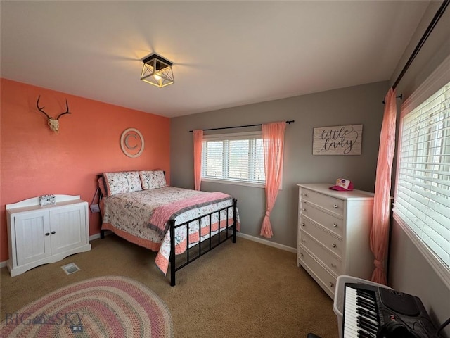 23 Indian Rings Rd, Big Timber, MT 59011 - bedroom featuring baseboards and light carpet