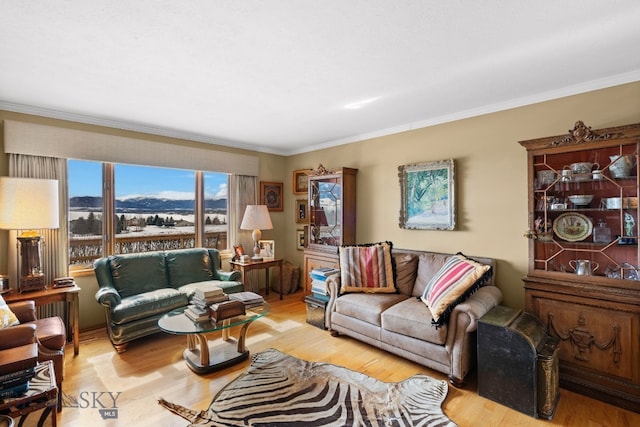 3310 Tumbleweed Dr, Bozeman, MT 59715 - living room with light wood-type flooring, ornamental molding, and a mountain view