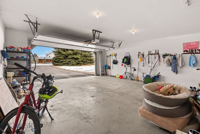 3310 Tumbleweed Dr, Bozeman, MT 59715 - garage with a garage door opener