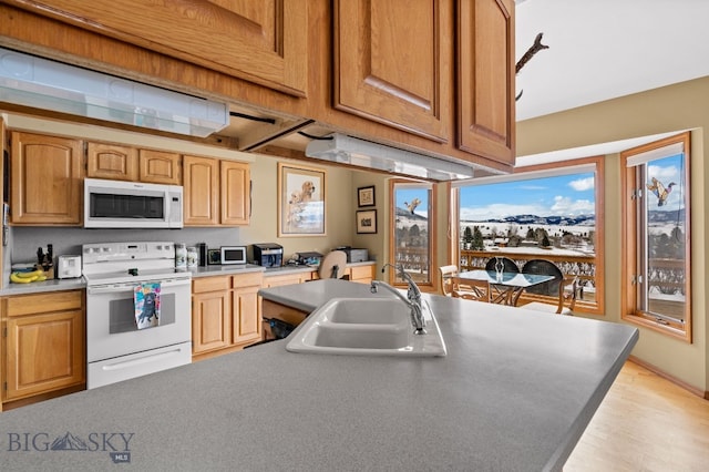 3310 Tumbleweed Dr, Bozeman, MT 59715 - kitchen with a sink, light wood-type flooring, and white appliances