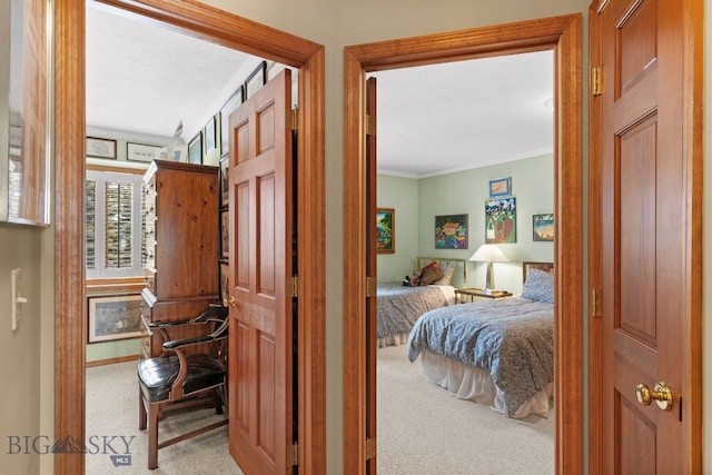 3310 Tumbleweed Dr, Bozeman, MT 59715 - hall featuring crown molding, baseboards, and carpet flooring