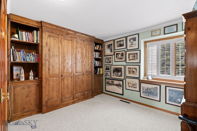 3310 Tumbleweed Dr, Bozeman, MT 59715 - interior space featuring baseboards, visible vents, and built in features