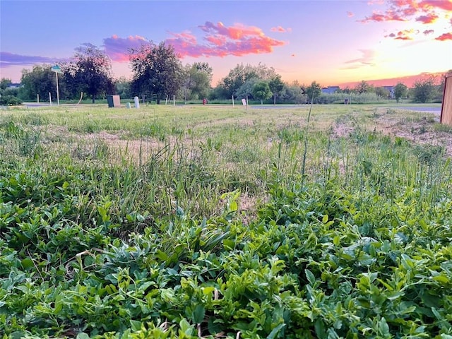 336 N Hanley Ave, Bozeman, MT 59718 - yard at dusk featuring a rural view