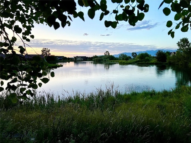 336 N Hanley Ave, Bozeman, MT 59718 - water view