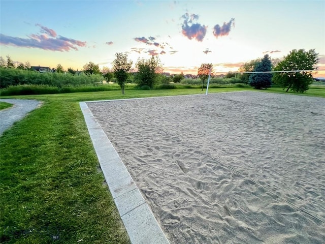 336 N Hanley Ave, Bozeman, MT 59718 - surrounding community with volleyball court and a lawn
