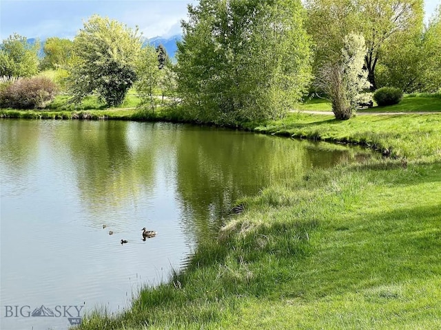 336 N Hanley Ave, Bozeman, MT 59718 - water view
