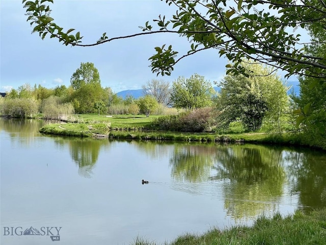 336 N Hanley Ave, Bozeman, MT 59718 - water view