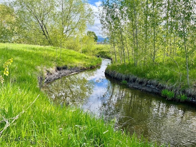 336 N Hanley Ave, Bozeman, MT 59718 - water view