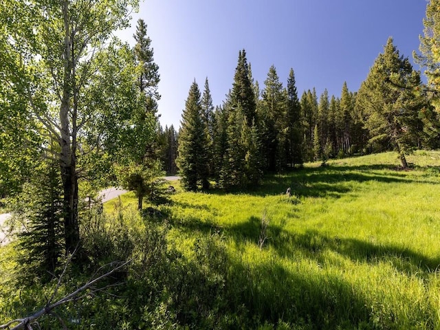 TBD Gray Owl Ln, Big Sky, MT 59716
