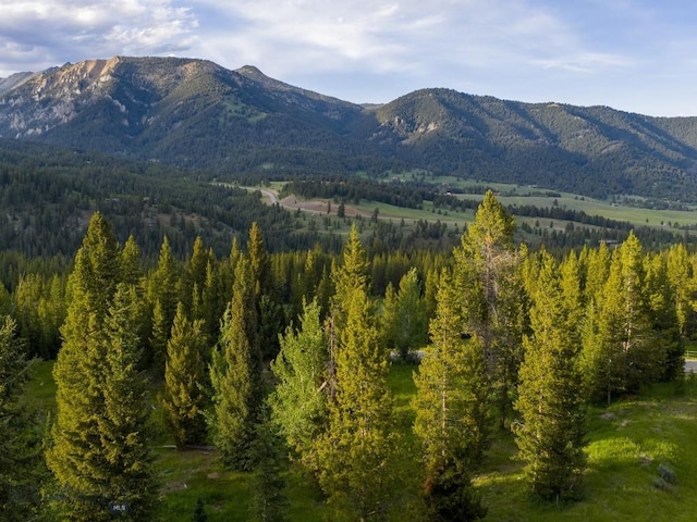 TBD Gray Owl Ln, Big Sky, MT 59716