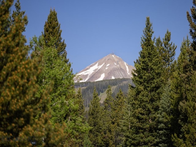 TBD Gray Owl Ln, Big Sky, MT 59716