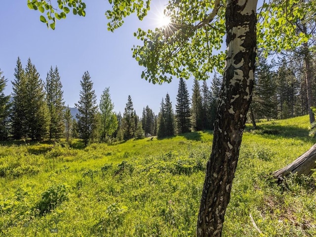 TBD Gray Owl Ln, Big Sky, MT 59716