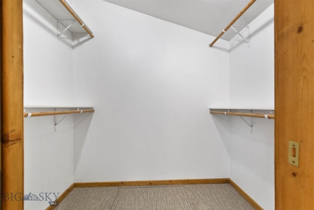 510 Flathead Ave, Bozeman, MT 59715 - spacious closet featuring carpet floors