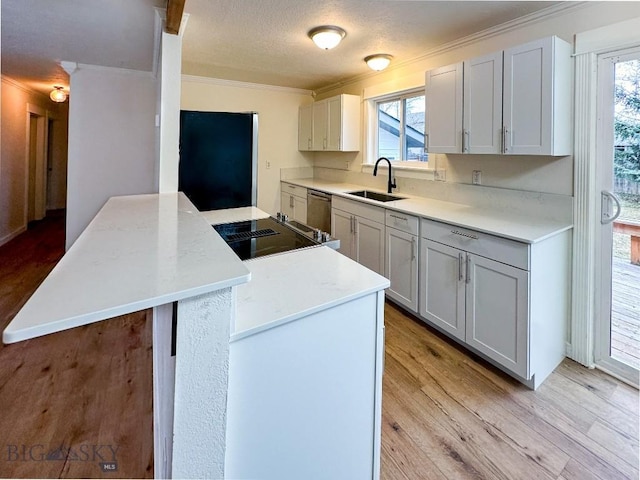 510 Flathead Ave, Bozeman, MT 59715 - kitchen featuring a sink, a peninsula, crown molding, light wood-style flooring, and light countertops
