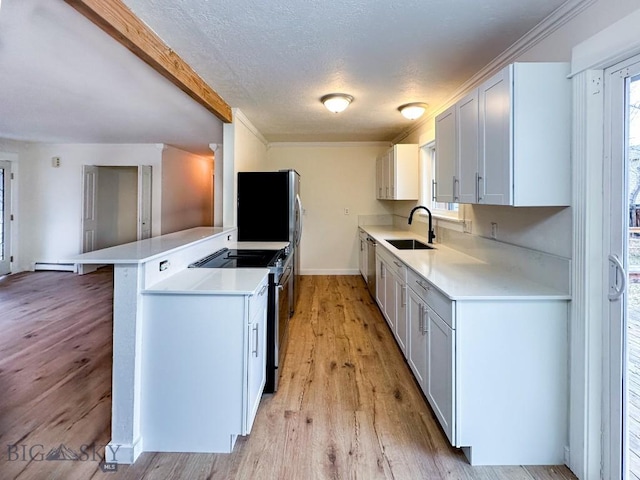 510 Flathead Ave, Bozeman, MT 59715 - kitchen featuring electric stove, a sink, light countertops, light wood finished floors, and a textured ceiling