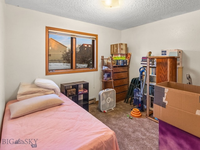 907 Montana St, Belgrade, MT 59714 - bedroom featuring a baseboard radiator, carpet flooring, and a textured ceiling