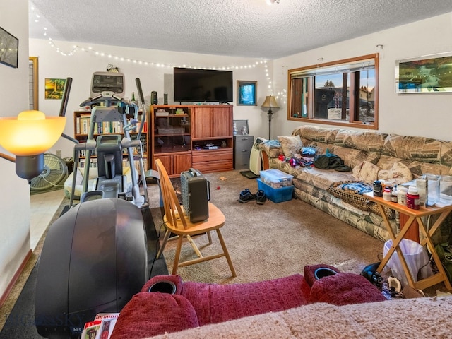 907 Montana St, Belgrade, MT 59714 - living area with carpet and a textured ceiling