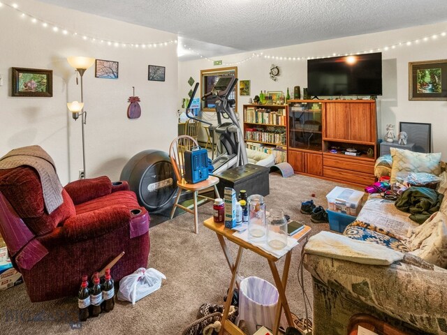 907 Montana St, Belgrade, MT 59714 - living area with a textured ceiling and carpet