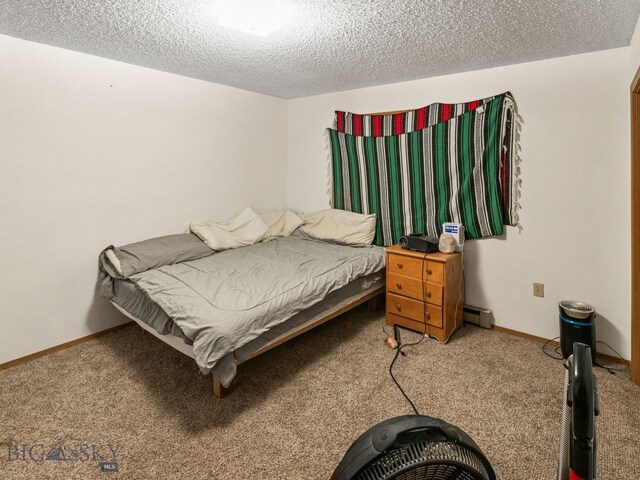 907 Montana St, Belgrade, MT 59714 - bedroom featuring a baseboard radiator, baseboards, carpet, and a textured ceiling