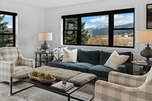 7980 Balsam, Bozeman, MT 59718 - view of living area