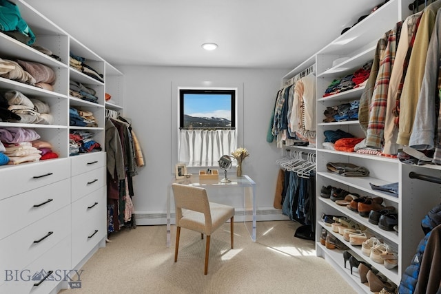 7980 Balsam, Bozeman, MT 59718 - view of walk in closet