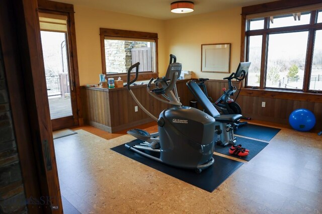 201 Cotton Willow, Melrose, MT 59743 - workout room with tile patterned floors and a wainscoted wall