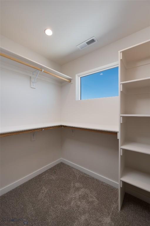 602 Mira Way Unit A, Belgrade, MT 59714 - walk in closet with carpet flooring