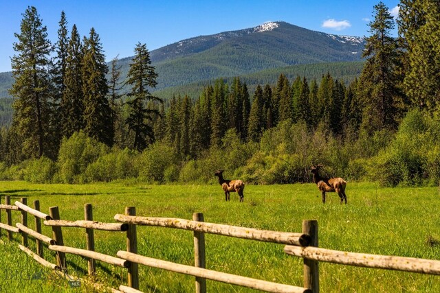 31255 Ninemile Rd, Huson, MT 59846 - view of mountain background featuring a forest, a pastoral area, and rural landscape