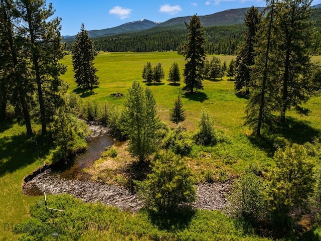 31255 Ninemile Rd, Huson, MT 59846 - view of mountain background