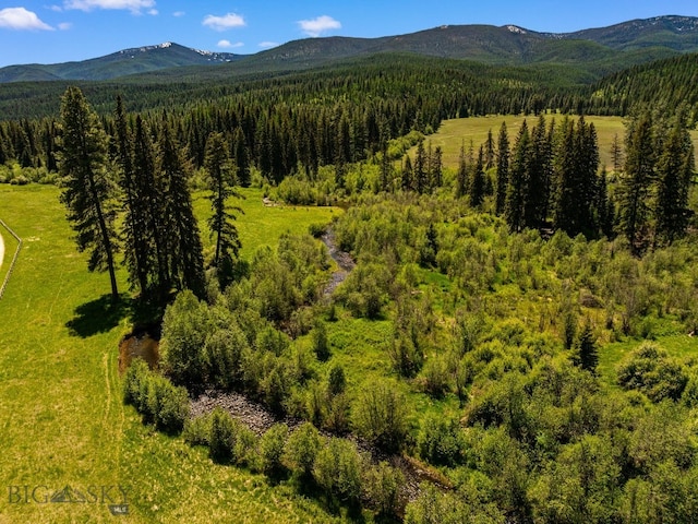 31255 Ninemile Rd, Huson, MT 59846 - mountain view with a forest