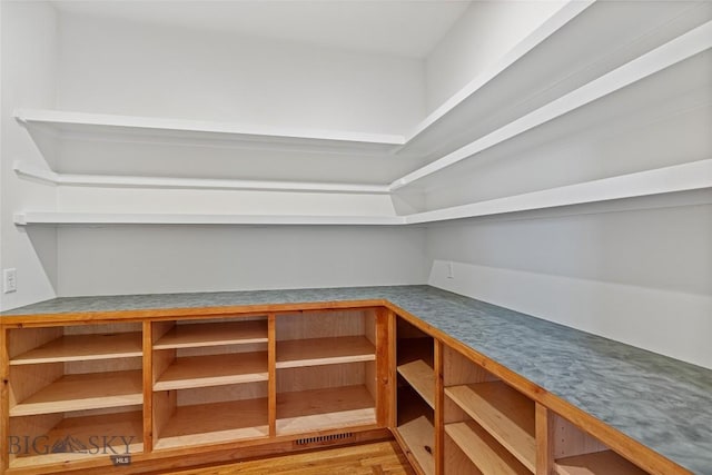 49 Wild Rye Pl, Three Forks, MT 59752 - view of pantry