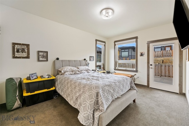 104 Albrey Trl Unit C, Bozeman, MT 59718 - carpeted bedroom with access to outside