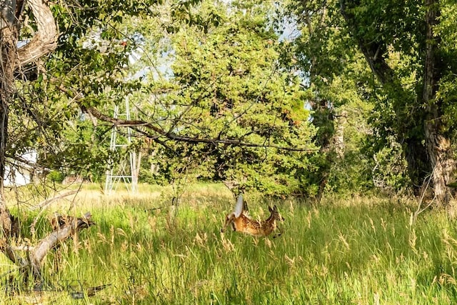 LOT15ATBD Riverway Rd, Belgrade, MT 59714