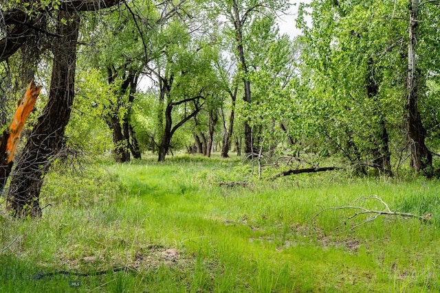 LOT15ATBD Riverway Rd, Belgrade, MT 59714