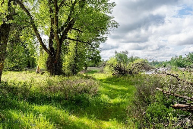 LOT15ATBD Riverway Rd, Belgrade, MT 59714